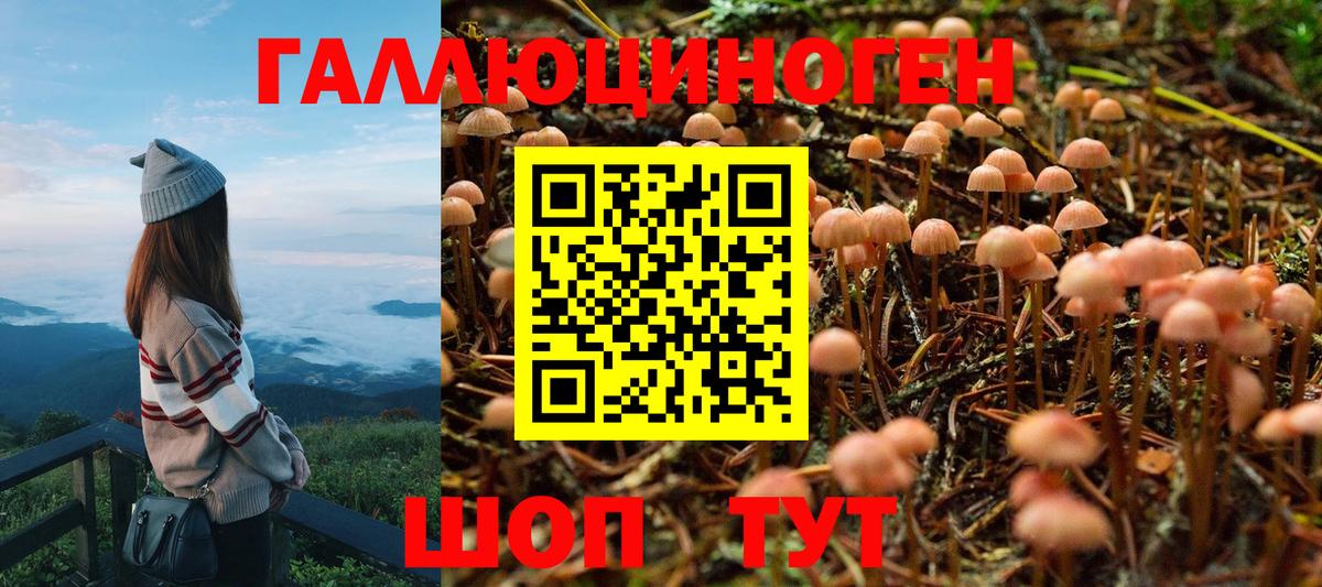 Псилоцибиновые грибы прущие грибы Ртищево