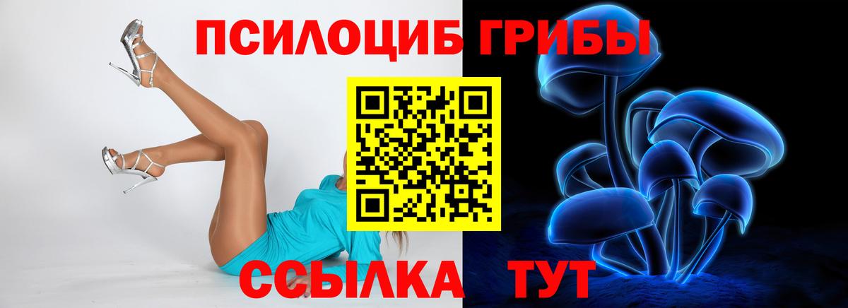 Псилоцибиновые грибы MAGIC MUSHROOMS  Вход с VPN  где купить наркотик  Ртищево 
